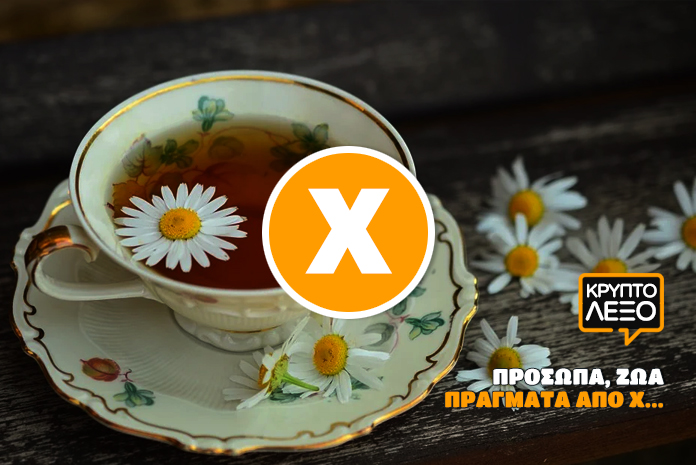 kryptolexo-prosopa-zoa-pragmata-apo-xi